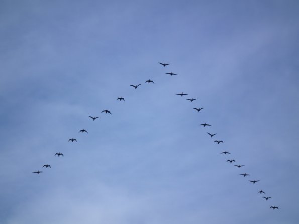 dscf0116