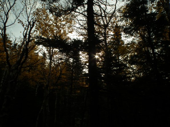 dscf1490