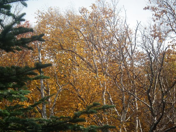 dscf1576