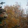 dscf1577