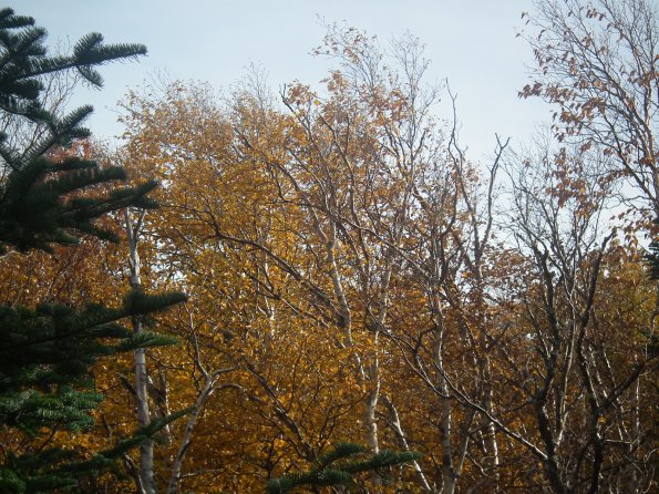 dscf1577