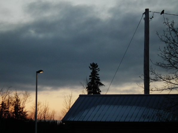 DSCF5014