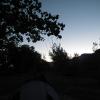 DSCF4440