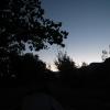 DSCF4441