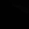 DSCF4444