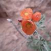 DSCF4673