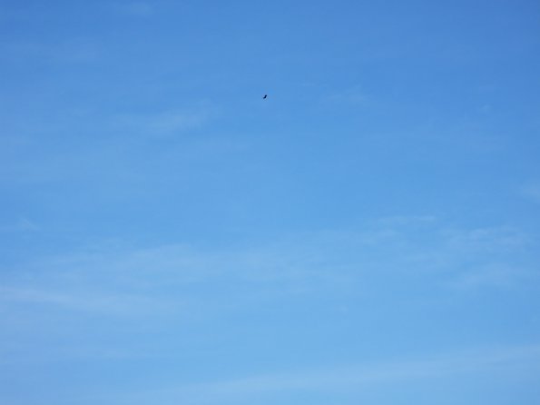 DSCF7038