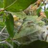 DSCF9622