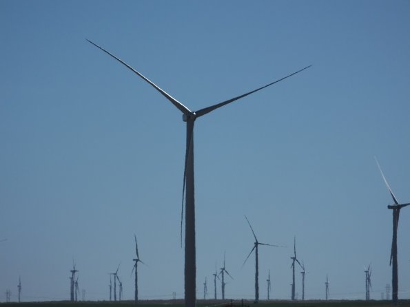 DSCF0237