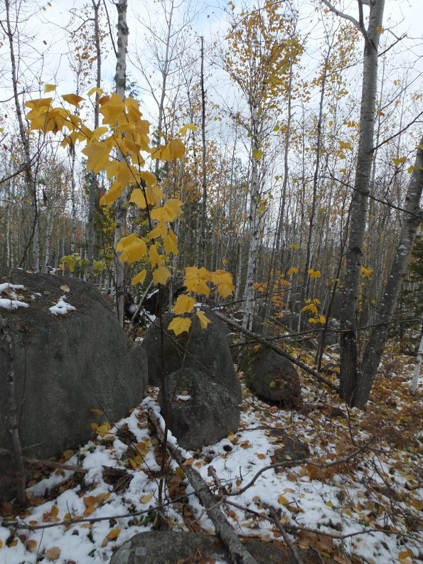 DSCF1283