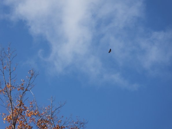 DSCF1338