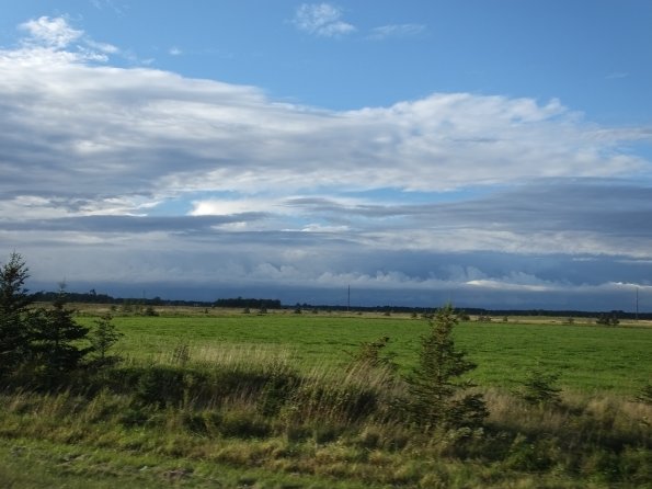 DSCF2634