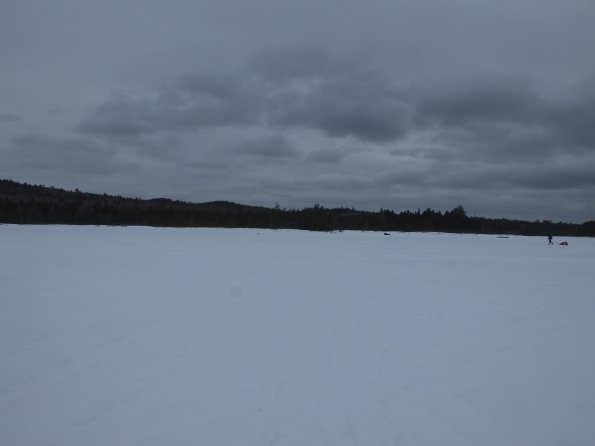 DSCF3552