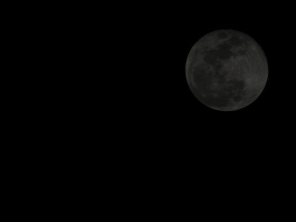 DSCF4478