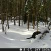 Hunter Camera