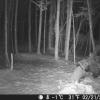 Hunter Camera
