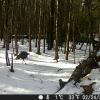 Hunter Camera