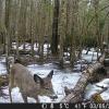 Hunter Camera