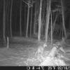 Hunter Camera