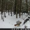 Hunter Camera