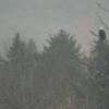DSCF7060